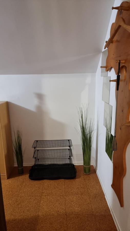 Apartma Ursic Краньска Гора Экстерьер фото